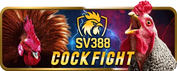 Cá cược bóng rổ tại goo88d